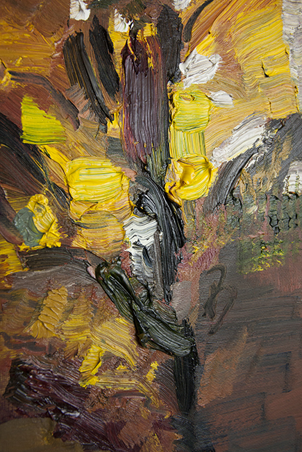 S6 Garden tree in Autumn