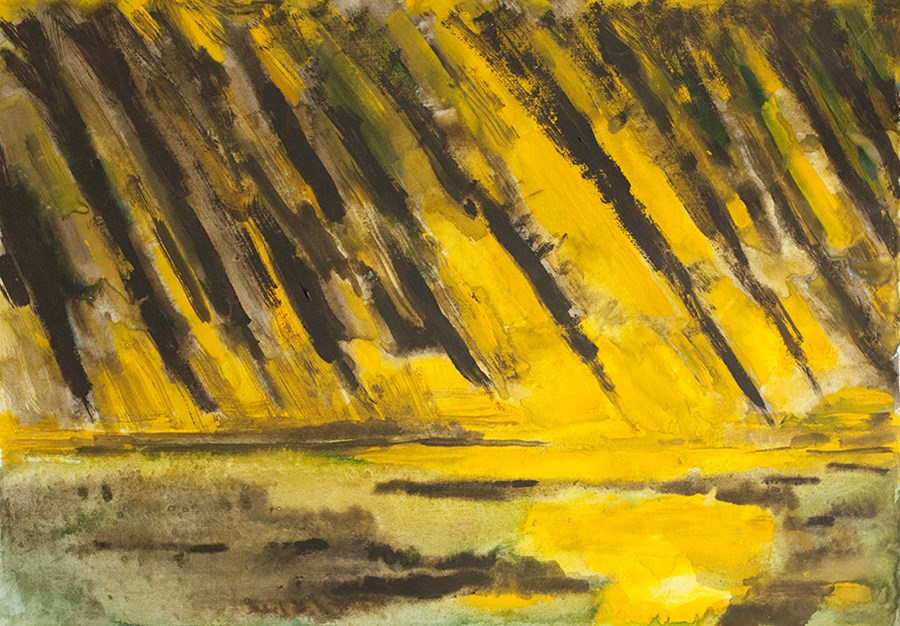 L13 Gold thunder image