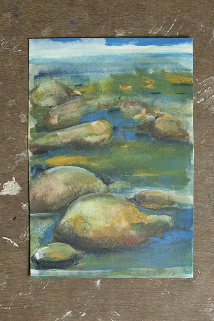 C9 Rocks and Shore image