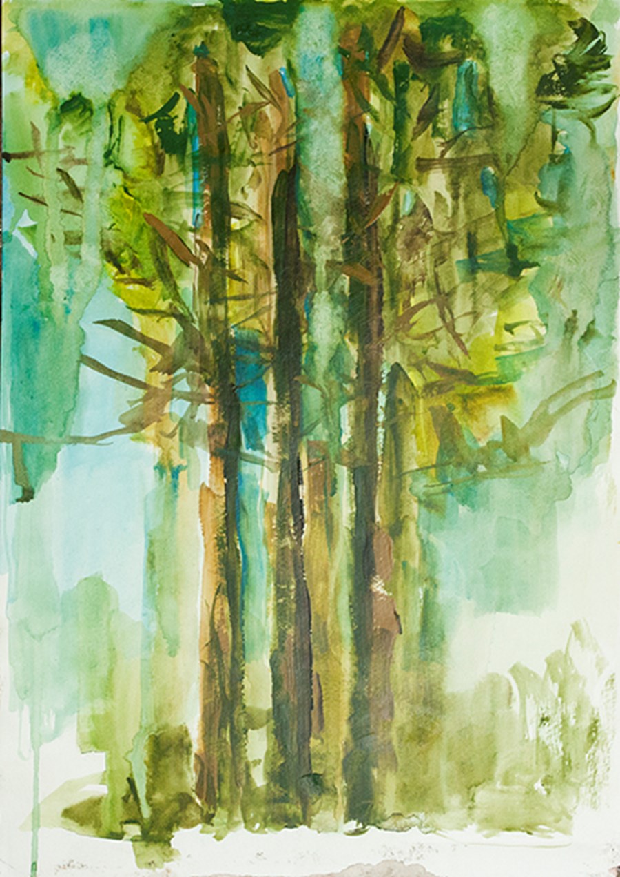 S5 Tall trees in the Spring  image