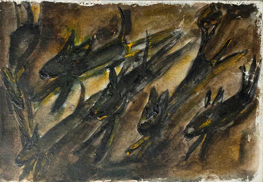 A6 Running dogs image
