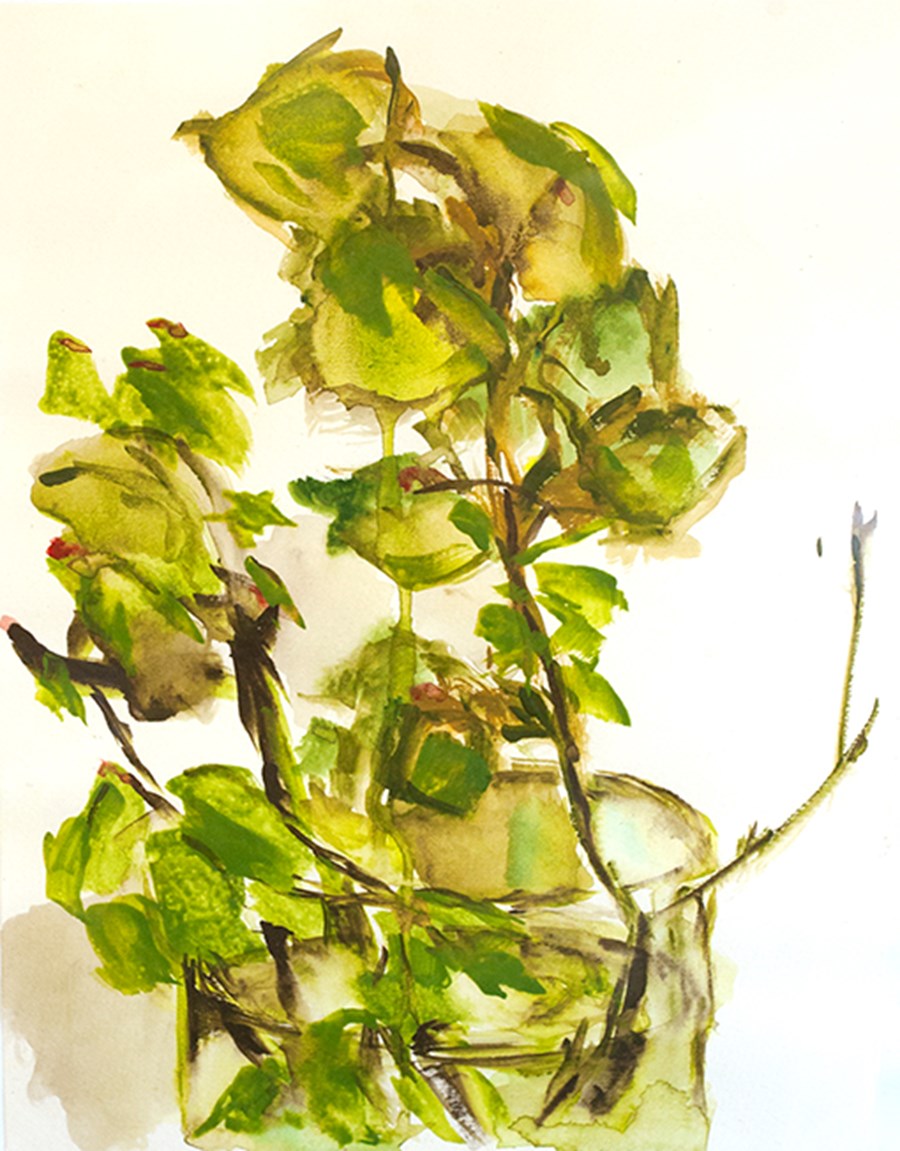 T6 Beach in a Glass image