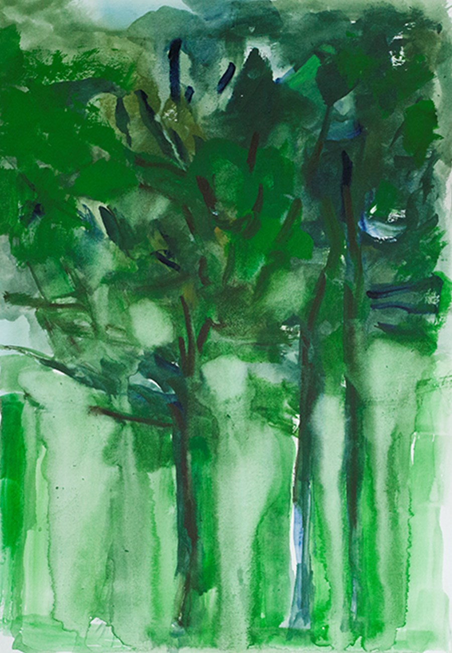 S2 Trees In the rain image