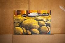 IMG 0500