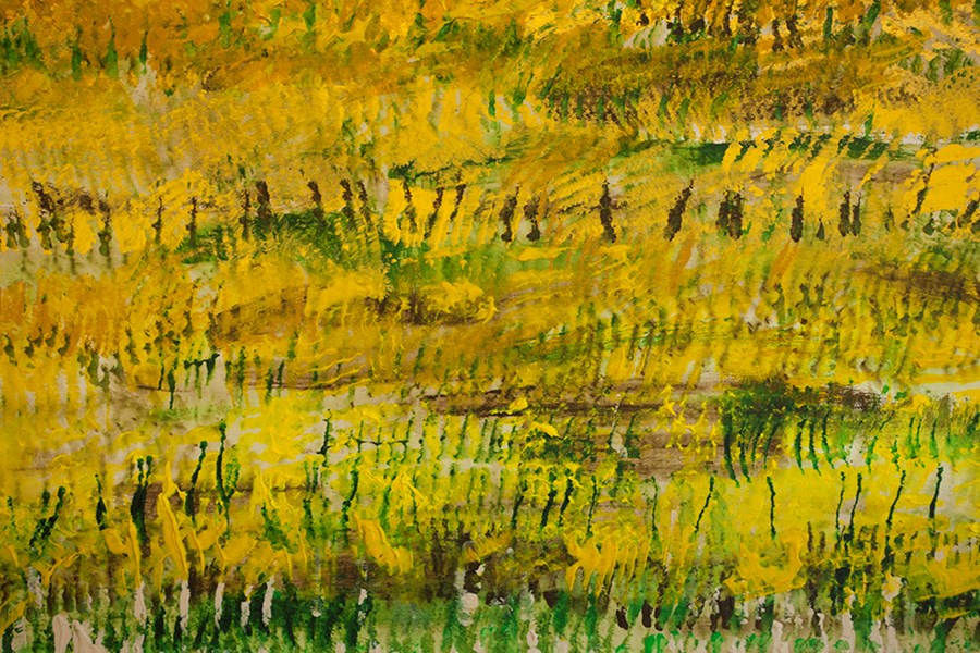 L6 Rape field  image