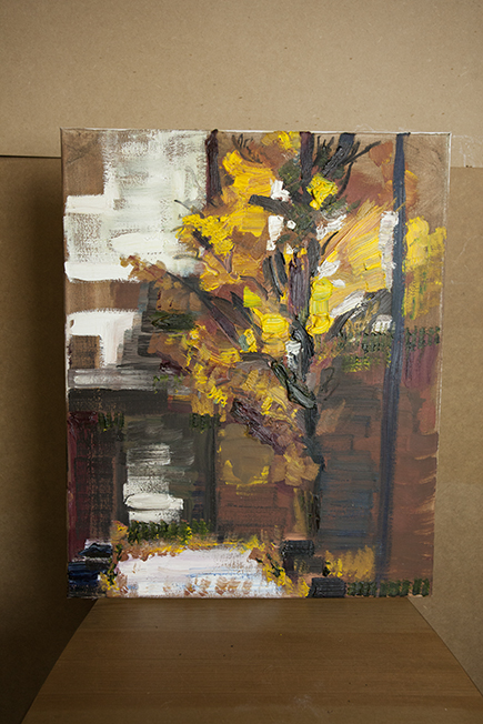 S6 Garden Tree in Autumn