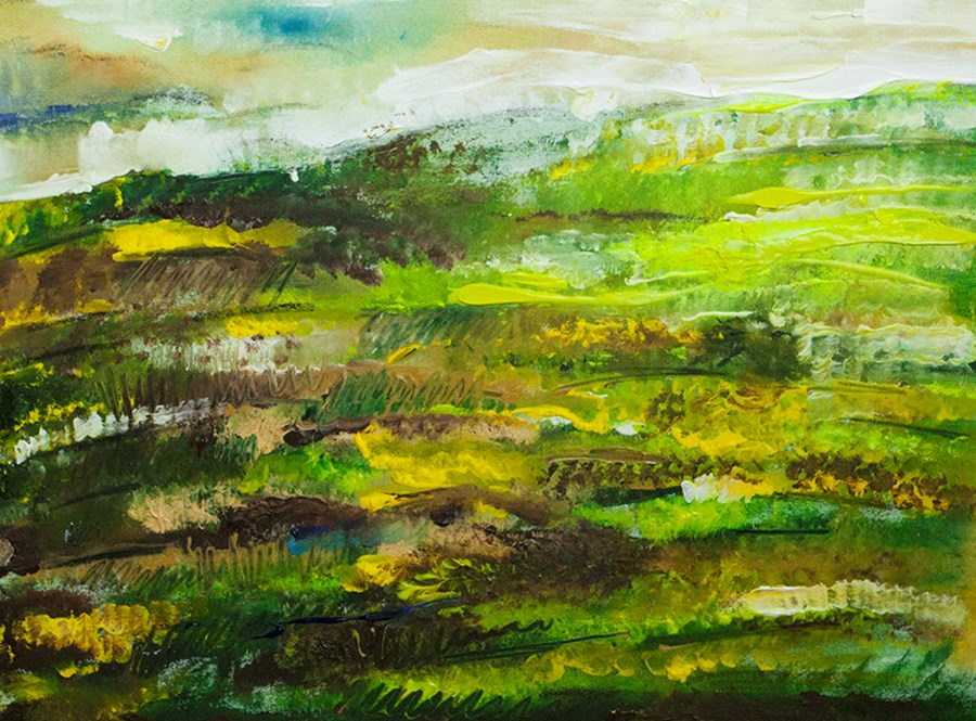 L4 Spring field image