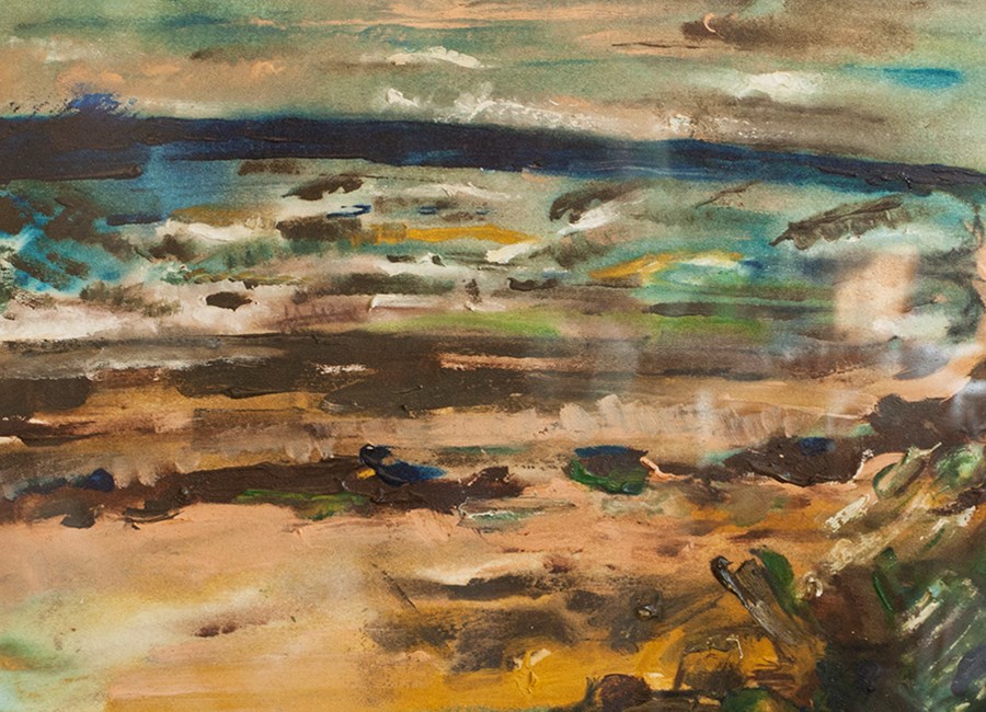 L10 Wild shore image